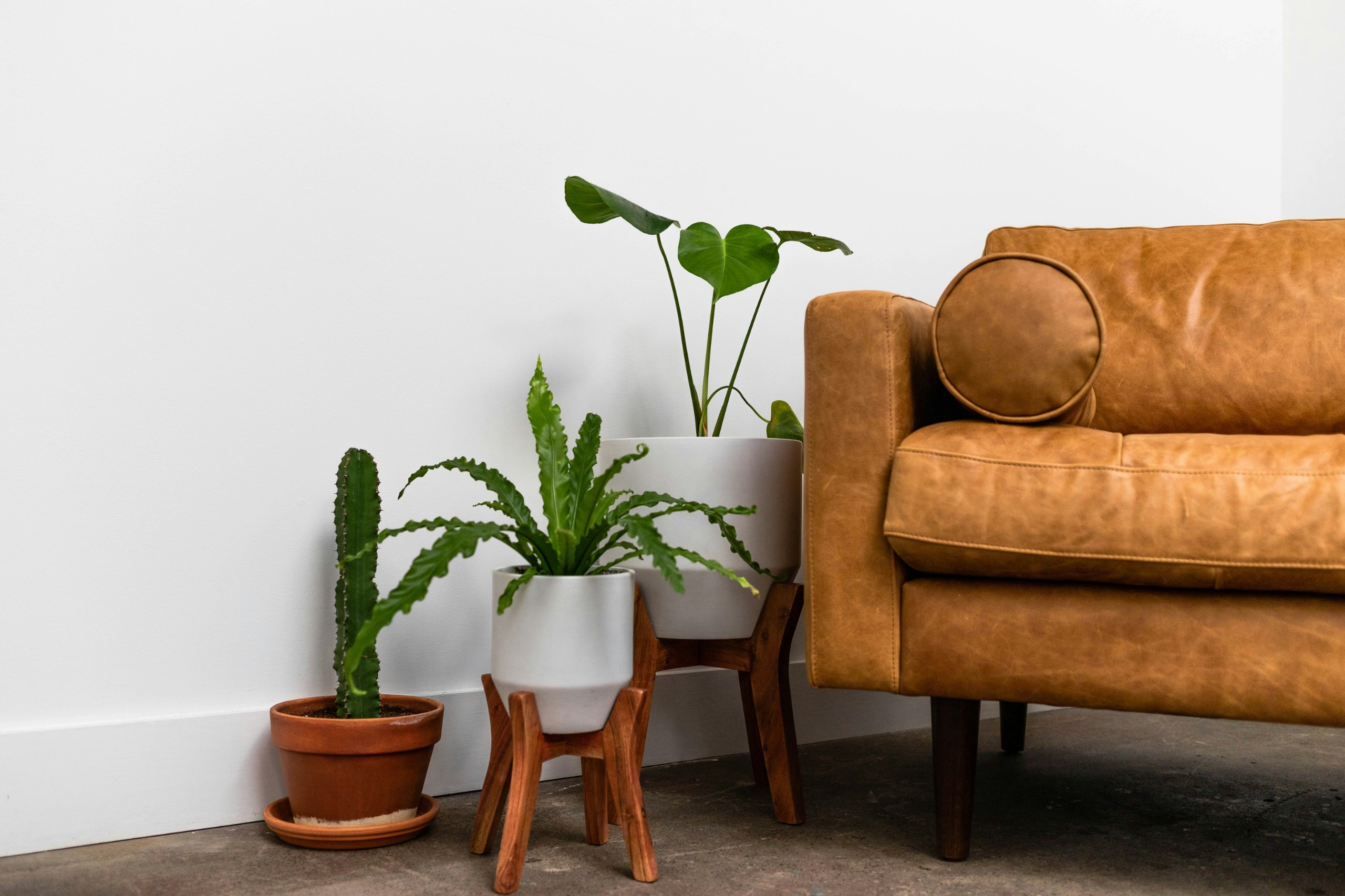 Comfortable therapy space